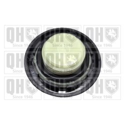 Oil Filler Neck Sealing Cap QUINTON HAZELL FC583 OE Ref 2651026620