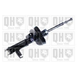 Shock Absorber QUINTON HAZELL QAG181033 OE Ref 13219125 QUINTON HAZELL