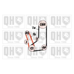 Timing Belt Kit QUINTON HAZELL QBK523 OE Ref 2441032000 QUINTON HAZELL
