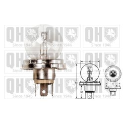 Headlight Bulb QUINTON HAZELL QBL410 OE Ref 07119978396