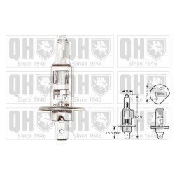 Front Fog Light Bulb QUINTON HAZELL QBL448 OE Ref 83931521