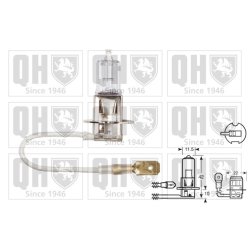 Spotlight Bulb QUINTON HAZELL QBL453 OE Ref 07119978391