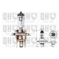 Front Fog Light Bulb QUINTON HAZELL QBL472 OE Ref 63121354619