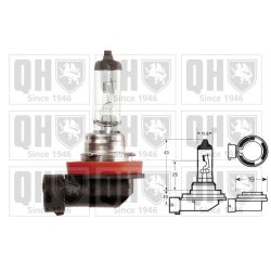 Spotlight Bulb QUINTON HAZELL QBL711 OE Ref 11028490