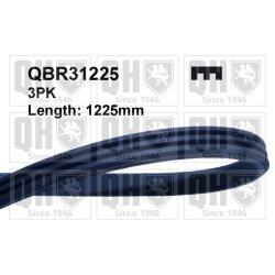V Ribbed Belt QUINTON HAZELL QBR31225 QUINTON HAZELL