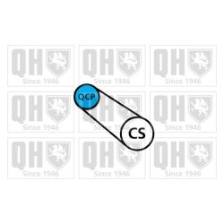 V Ribbed Belt QUINTON HAZELL QBR3576E OE Ref 9675874180 QUINTON HAZELL