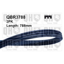 V Ribbed Belt QUINTON HAZELL QBR3788 OE Ref 9004831002 QUINTON HAZELL