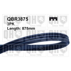 V Ribbed Belt QUINTON HAZELL QBR3875 OE Ref 1172001B00