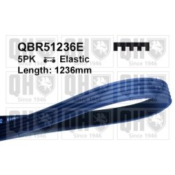 V Ribbed Belt QUINTON HAZELL QBR51236E OE Ref 2521203000 QUINTON HAZELL
