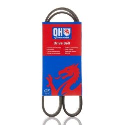 V Ribbed Belt QUINTON HAZELL QBR61019E OE Ref 1141317 QUINTON HAZELL