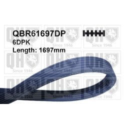 V Ribbed Belt QUINTON HAZELL QBR61697DP OE Ref 11287800341 QUINTON HAZELL