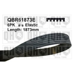V Ribbed Belt QUINTON HAZELL QBR61873E