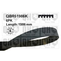 V Ribbed Belt QUINTON HAZELL QBR61986K OE Ref 0029932396 QUINTON HAZELL