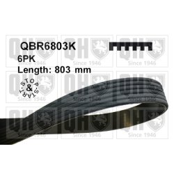 V Ribbed Belt QUINTON HAZELL QBR6803K OE Ref 0019939696