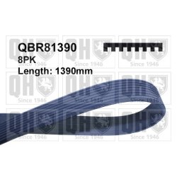 V Ribbed Belt QUINTON HAZELL QBR81390