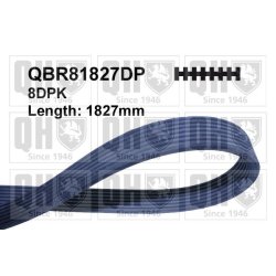 V Ribbed Belt QUINTON HAZELL QBR81827DP OE Ref 11287570232