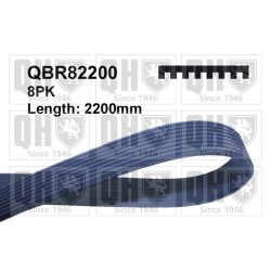 V Ribbed Belt QUINTON HAZELL QBR82200 OE Ref 2521084401 QUINTON HAZELL