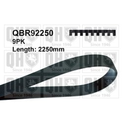V Ribbed Belt QUINTON HAZELL QBR92250 OE Ref 129972592