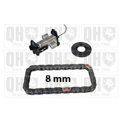 Timing Chain Kit QUINTON HAZELL QCK135 OE Ref 9830146880