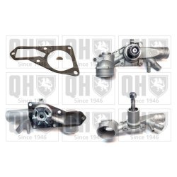 Engine Cooling Water Pump QUINTON HAZELL QCP1008 OE Ref 120271