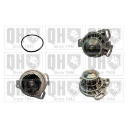 Engine Cooling Water Pump QUINTON HAZELL QCP1294 OE Ref 12571857