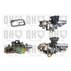 Engine Cooling Water Pump QUINTON HAZELL QCP2458 OE Ref 7701462389