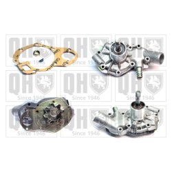 Engine Cooling Water Pump QUINTON HAZELL QCP2510 OE Ref 120132