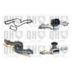 Engine Cooling Water Pump QUINTON HAZELL QCP2961 OE Ref 60513151 QUINTON HAZELL