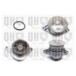 Engine Cooling Water Pump QUINTON HAZELL QCP3157 OE Ref 030121005N