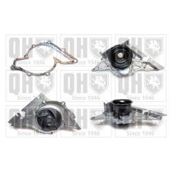 Engine Cooling Water Pump QUINTON HAZELL QCP3213 OE Ref 078121004H