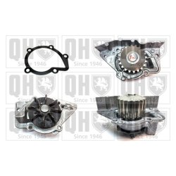 Engine Cooling Water Pump QUINTON HAZELL QCP3323 OE Ref 9566950080
