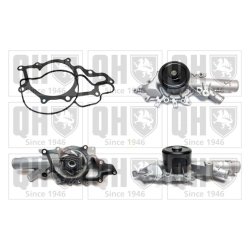 Engine Cooling Water Pump QUINTON HAZELL QCP3382 OE Ref 6112000201