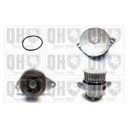 Engine Cooling Water Pump QUINTON HAZELL QCP3478 OE Ref 036121005F