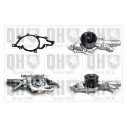 Engine Cooling Water Pump QUINTON HAZELL QCP3563 OE Ref 6462000301