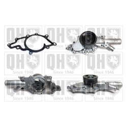 Engine Cooling Water Pump QUINTON HAZELL QCP3569 OE Ref 6132000901