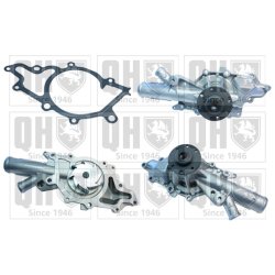 Engine Cooling Water Pump QUINTON HAZELL QCP3630 OE Ref 6462001001