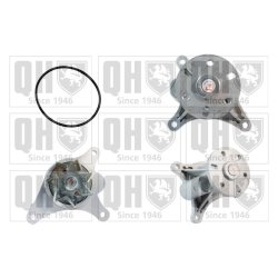 Engine Cooling Water Pump QUINTON HAZELL QCP3666 OE Ref 1201G6