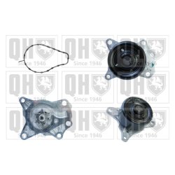 Engine Cooling Water Pump QUINTON HAZELL QCP3702 OE Ref 1610040110