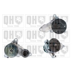 Engine Cooling Water Pump QUINTON HAZELL QCP3712 OE Ref 251002A200