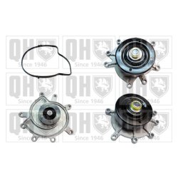 Engine Cooling Water Pump QUINTON HAZELL QCP3731 OE Ref 5302058AA