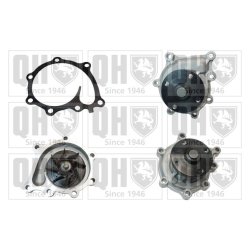 Engine Cooling Water Pump QUINTON HAZELL QCP3733 OE Ref 251004X900