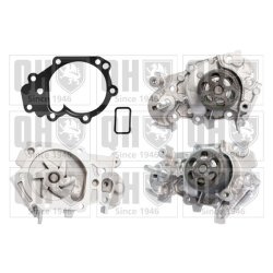 Engine Cooling Water Pump QUINTON HAZELL QCP3776 OE Ref 210109189R