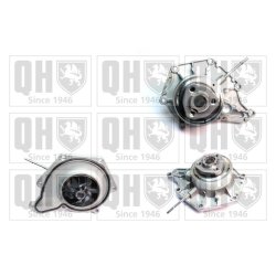 Engine Cooling Water Pump QUINTON HAZELL QCP3785 OE Ref 95810603310