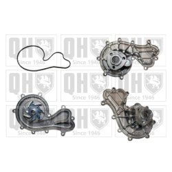 Engine Cooling Water Pump QUINTON HAZELL QCP3788 OE Ref 95810603330