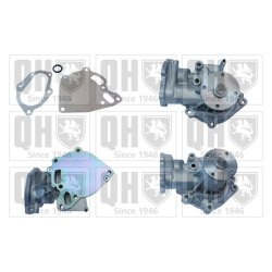 Engine Cooling Water Pump QUINTON HAZELL QCP3810 OE Ref 1300A045
