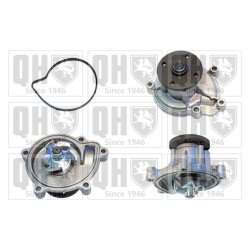 Engine Cooling Water Pump QUINTON HAZELL QCP3820 OE Ref 6402000420