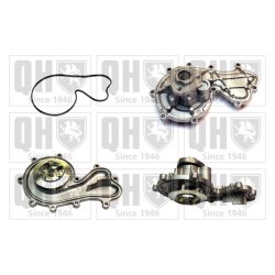 Engine Cooling Water Pump QUINTON HAZELL QCP3839 OE Ref 059121008