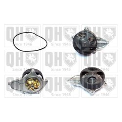 Engine Cooling Water Pump QUINTON HAZELL QCP3843 OE Ref 19200R3LG01