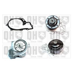 Engine Cooling Water Pump QUINTON HAZELL QCP3869 OE Ref 6512003901