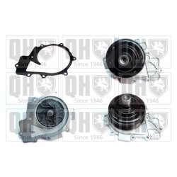 Engine Cooling Water Pump QUINTON HAZELL QCP3878 OE Ref 6512002101